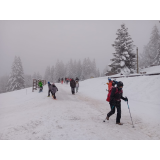 photo miniature